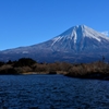 富士山と田貫湖 その1