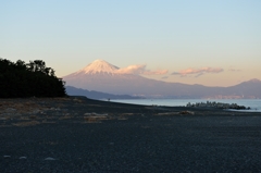 三保の松原からの富士山