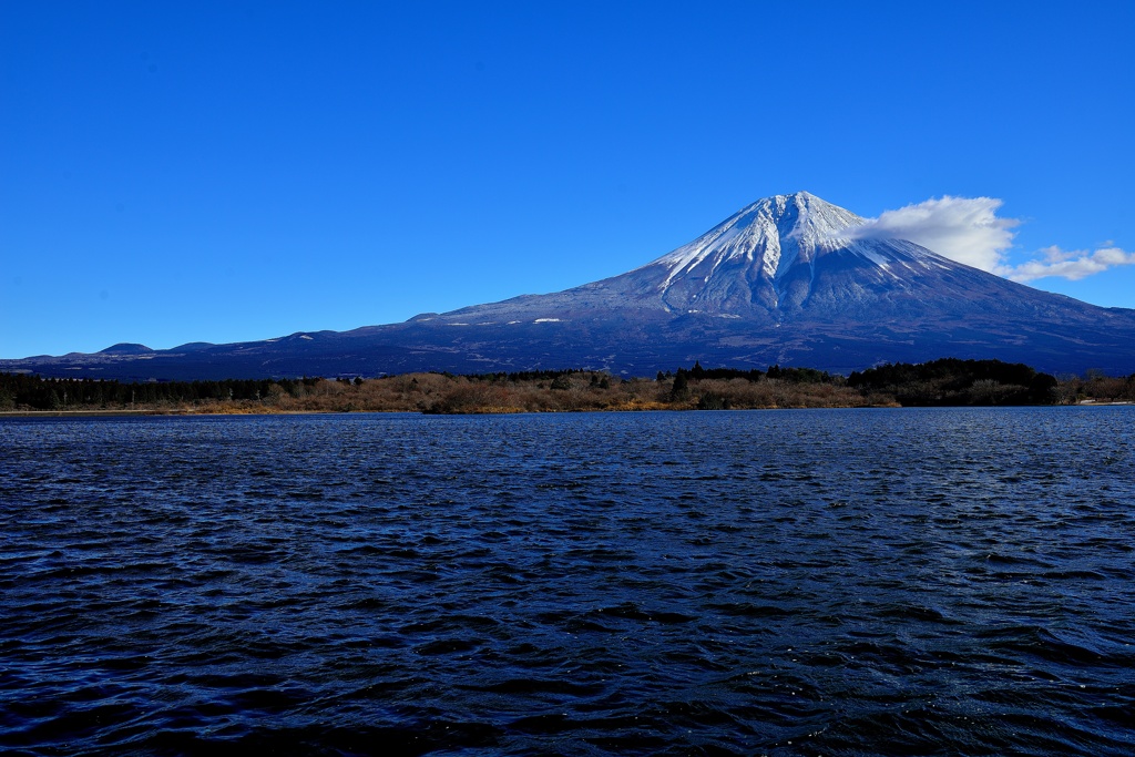 富士山と田貫湖 その2