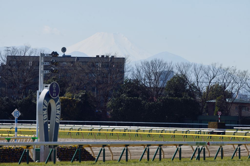 ゴール版と富士山