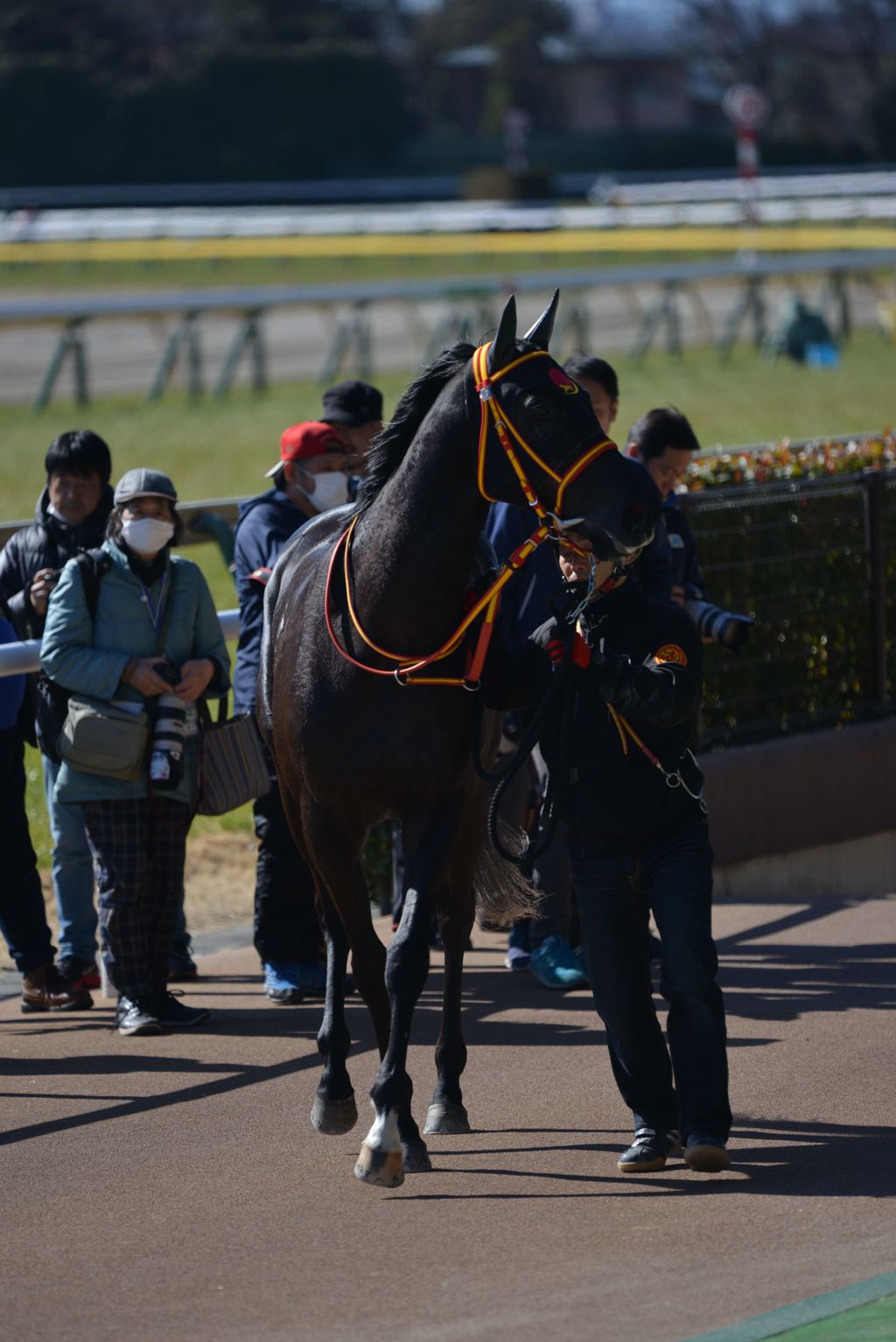 優勝馬の勇姿