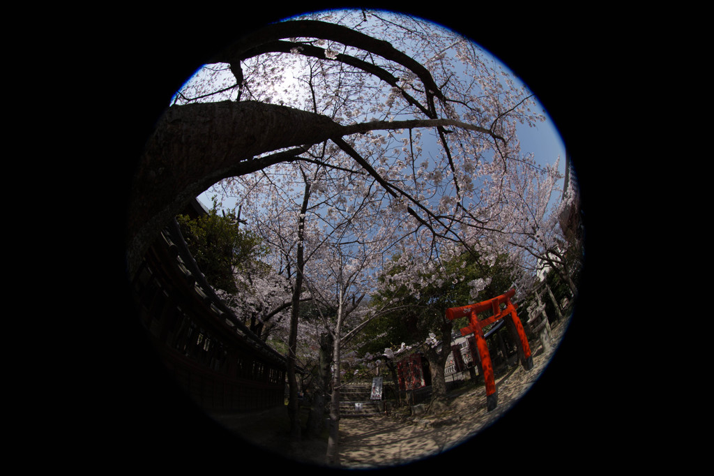 201303 神戸