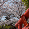 201303 神戸