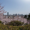 201303 神戸