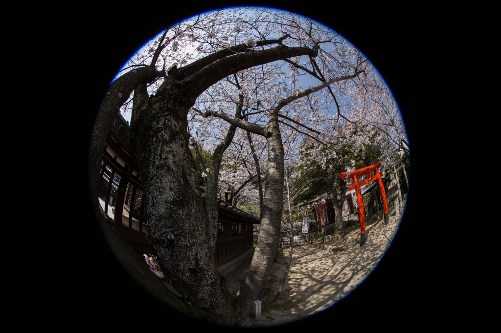 201303 神戸