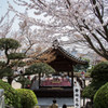 201303 神戸