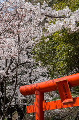 201303 神戸