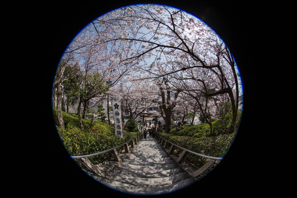 201303 神戸