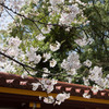 201303 神戸