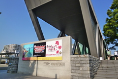 東京都現代美術館