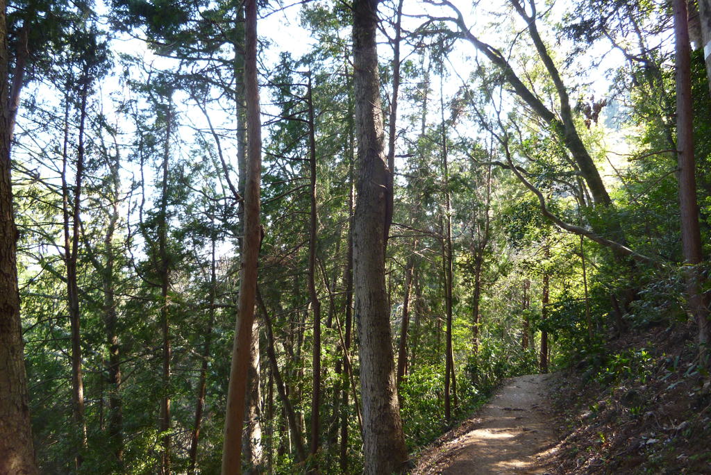 ３号路