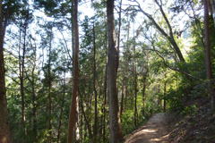 ３号路