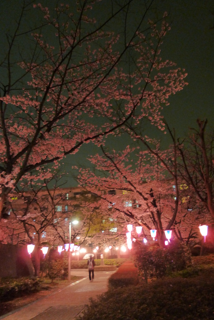 洋光台北団地1
