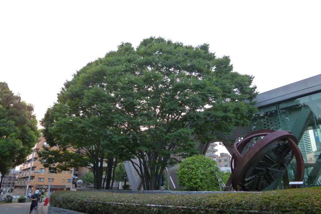 P1100651