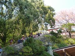 薬王院