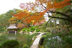 縮景園2