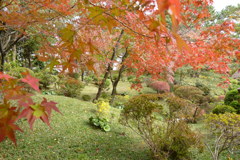 縮景園3