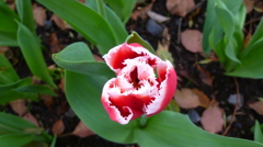 P1080732