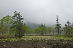 山ノ鼻近辺