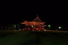 鶴岡八幡宮3