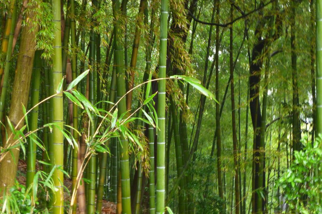 港南台中央公園