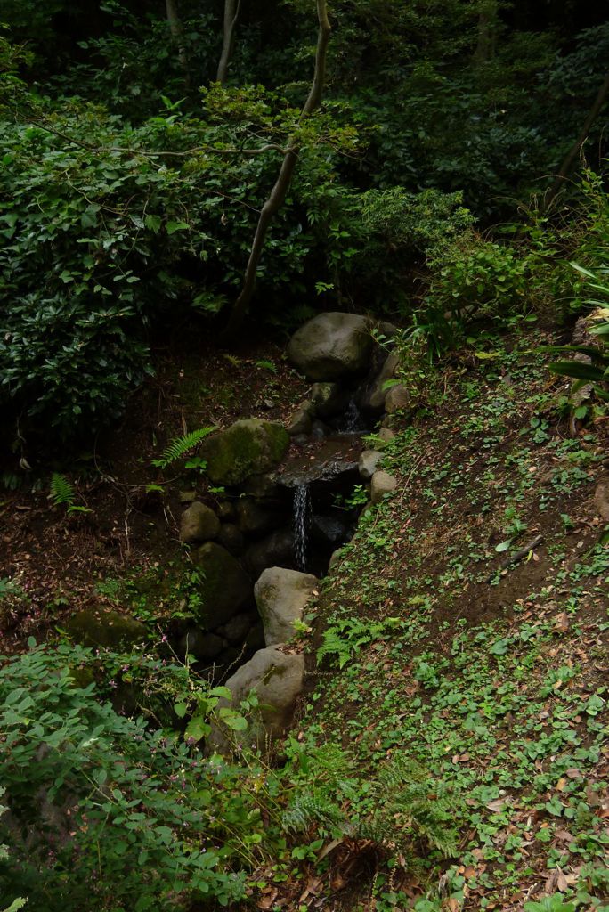 滝