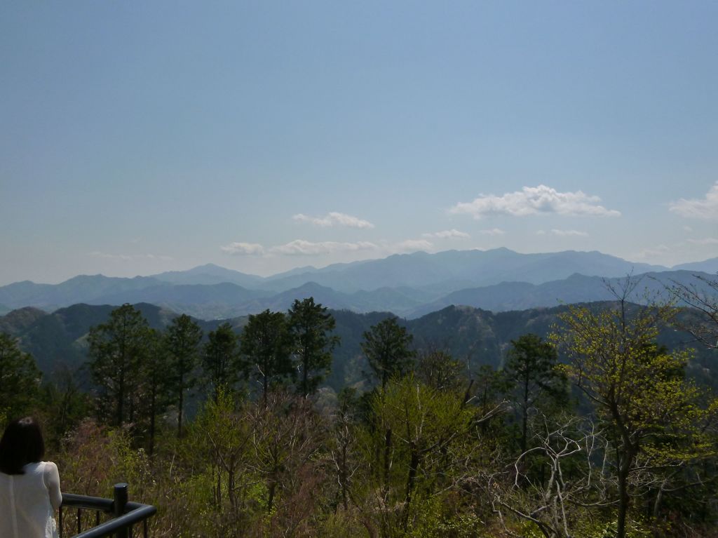 展望台から