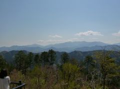 展望台から