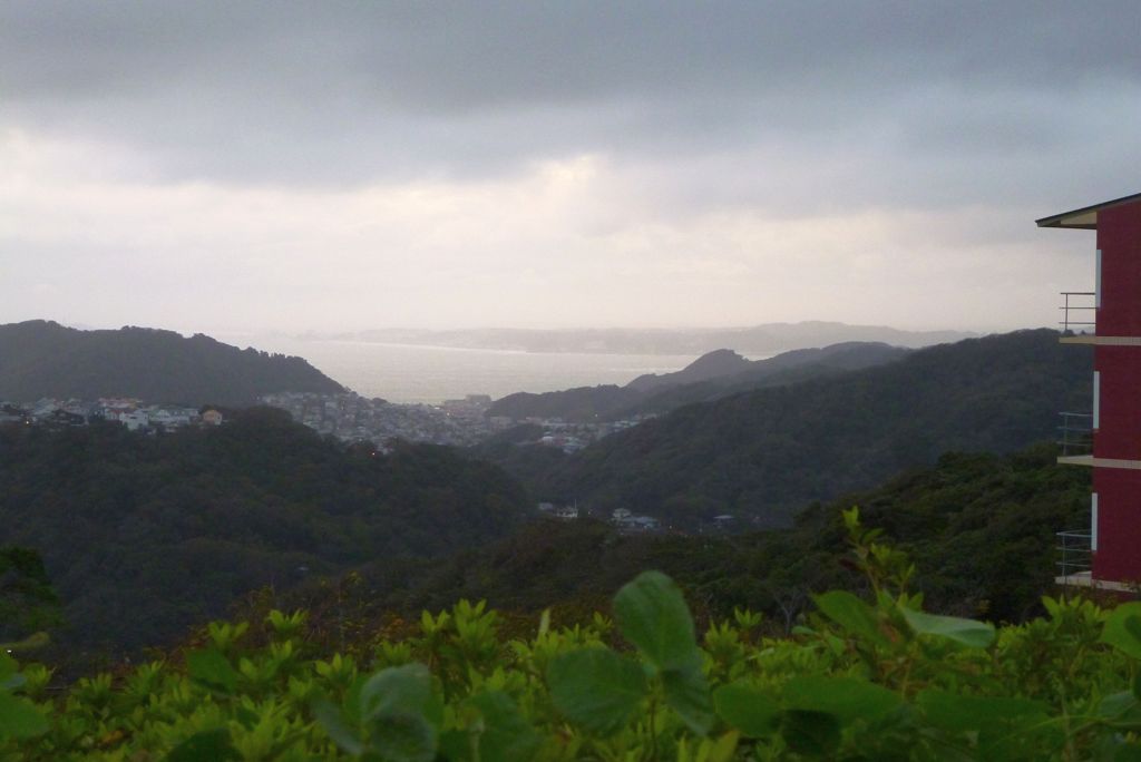 相模湾を臨む