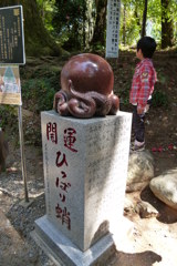 ひっぱり蛸