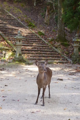 大元公園