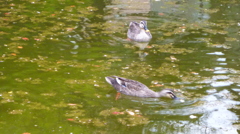 P1080771