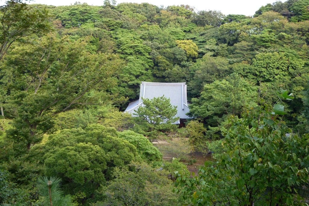 茶屋