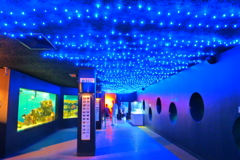 P1100002