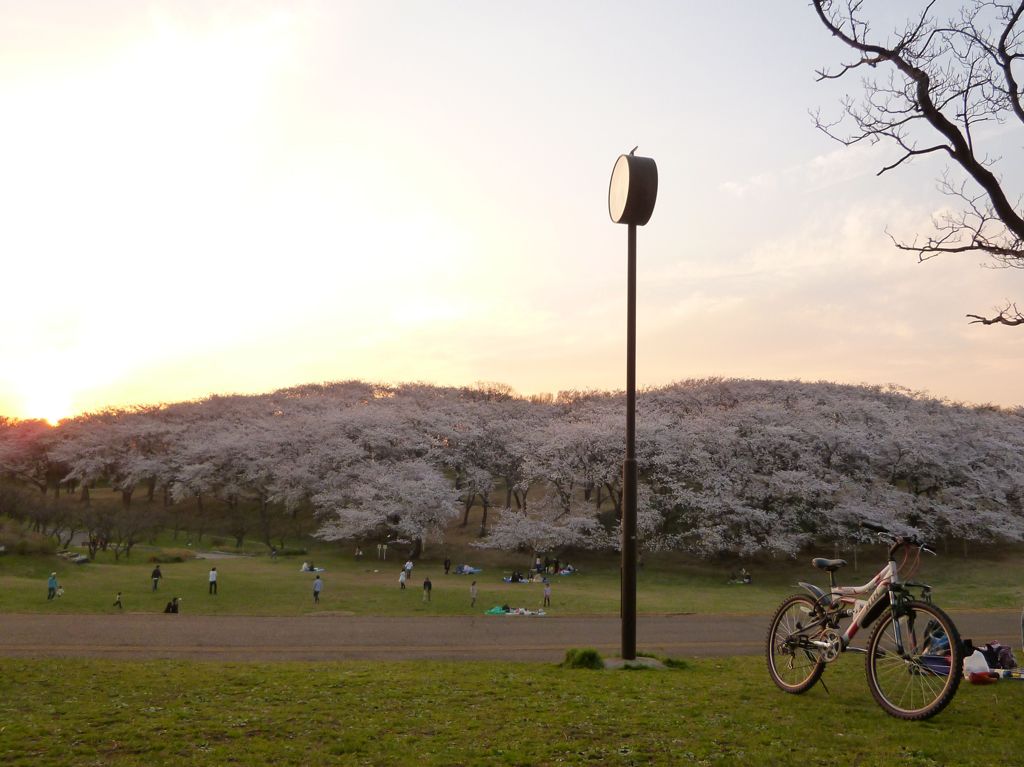 根岸森林公園5