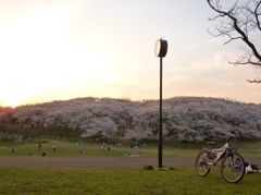 根岸森林公園5
