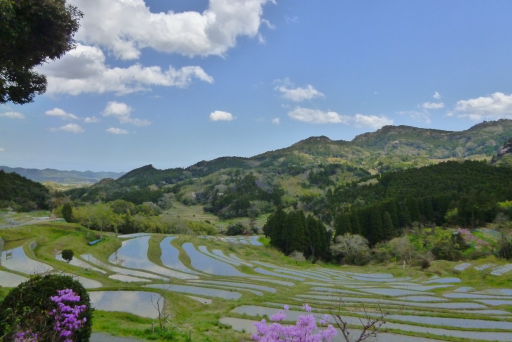 大山千枚田2