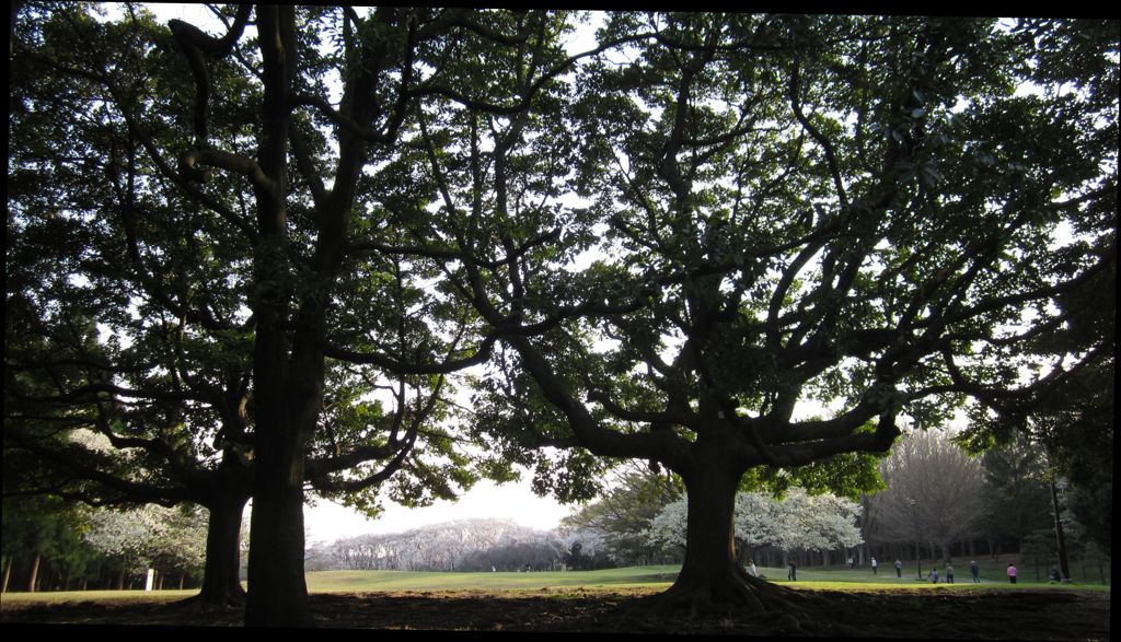 根岸森林公園8