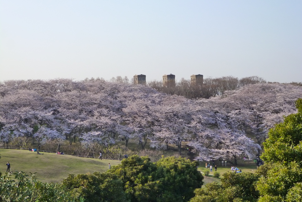 根岸森林公園1