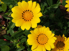 P3100192