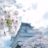 春の鶴ヶ城