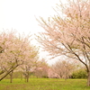 いこいの広場