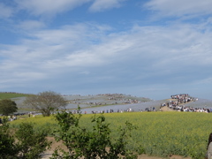 風に流れる風景