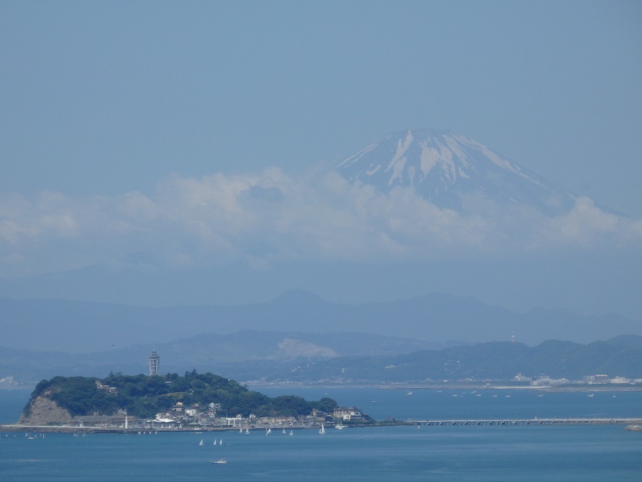 ♪江の島と富士山～逗子披露山公園