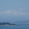 ♪江の島と富士山～逗子披露山公園
