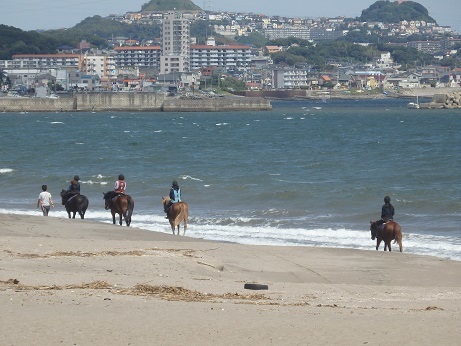 ♪三浦海岸　馬が行く＾＾