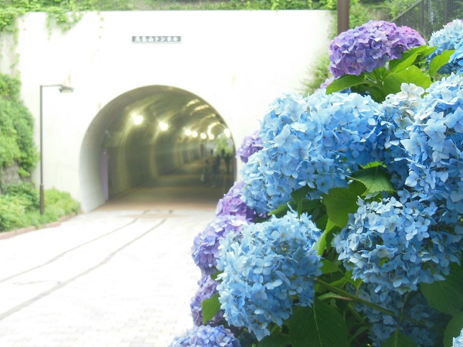 かつての線路が遊歩道に♪