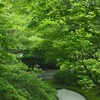 ☆緑豊かなお客様☆