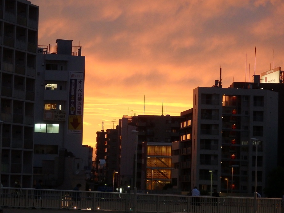 ♪夕日～東神奈川