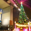♪イルミ51st　京都駅ツリー、京都タワー♪ 2014-12-16 TUS